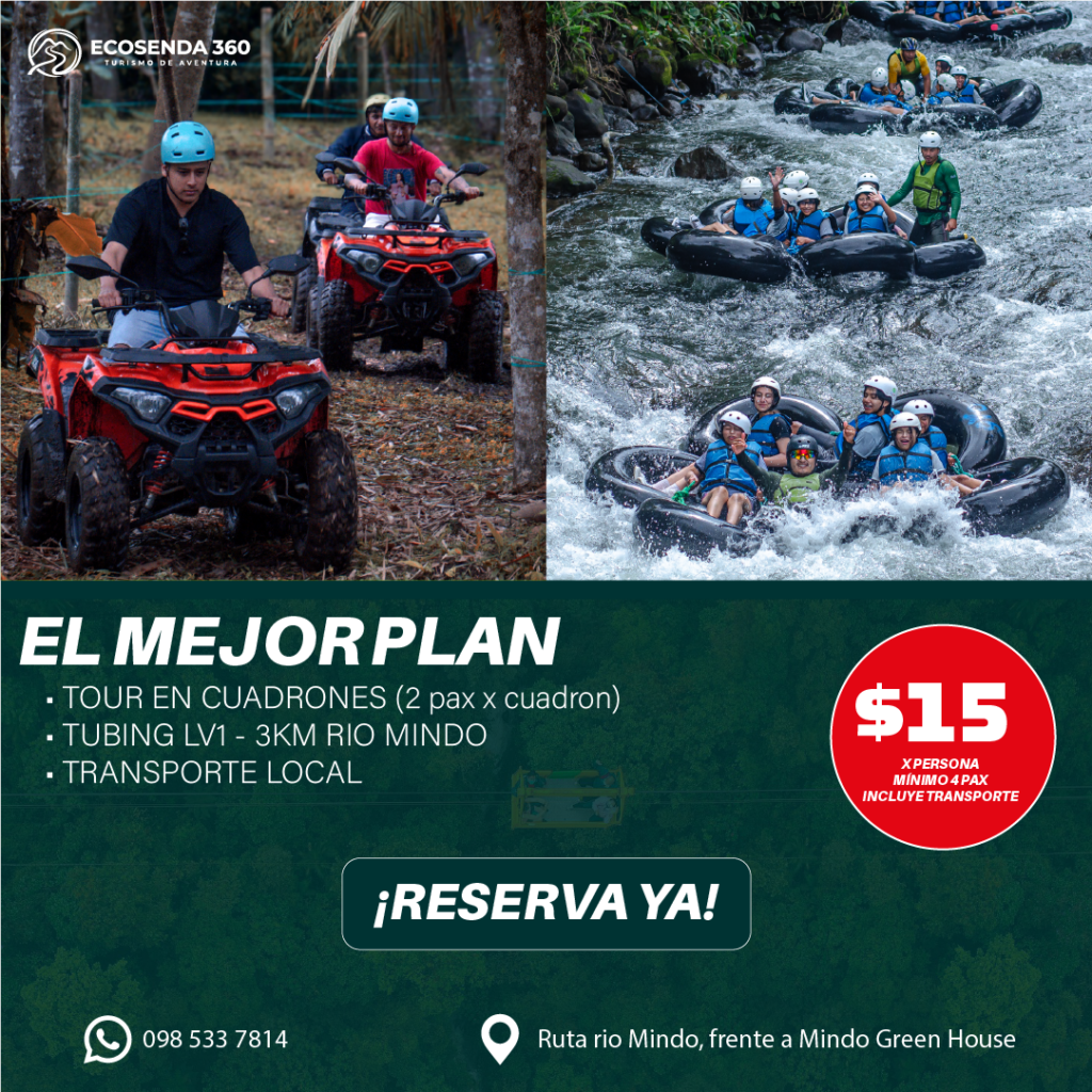 SERVICIOS mesa de trabajo 1 copia 4
